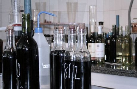 aktualno/winelabs1480x550